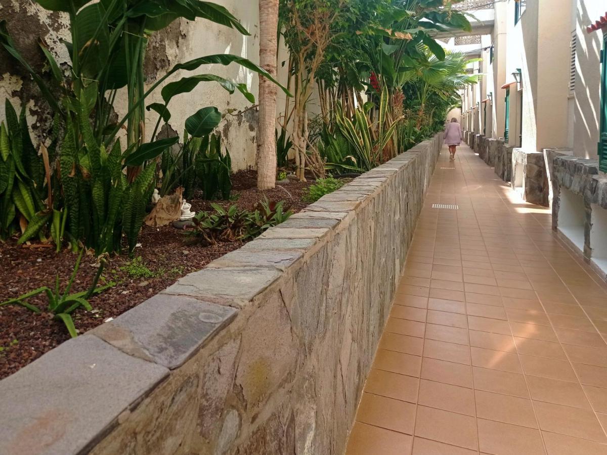 Live Puerto Santiago Europa Apartment Puerto de Santiago  Ngoại thất bức ảnh